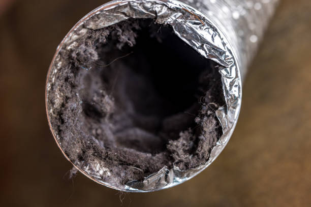 Best Residential Air Duct Cleaning  in Gotha, FL